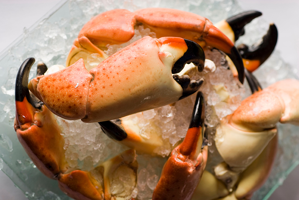 Stone Crabs